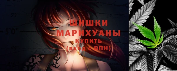 дмт Магас