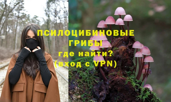 дмт Магас