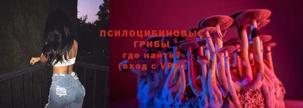 дмт Магас