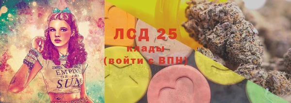 apvp Магадан