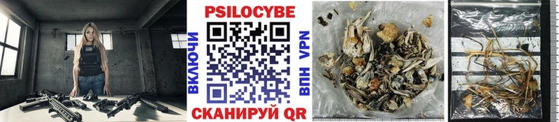 Галлюциногенные грибы Psilocybine cubensis  Купить  Балей 